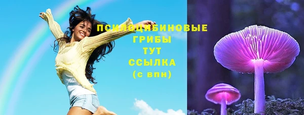 прущая мука Арсеньев