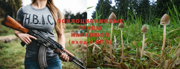 прущий лед Аркадак