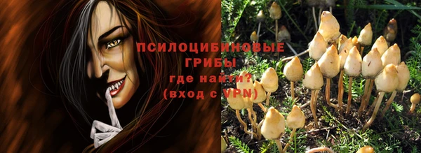 прущая мука Арсеньев