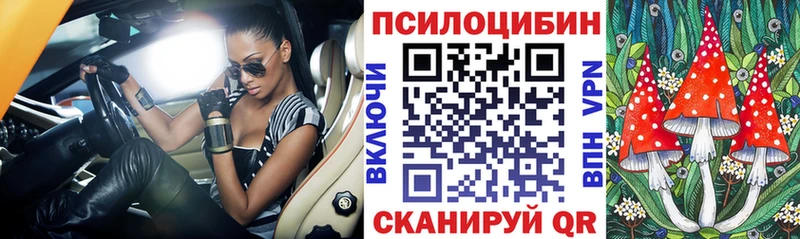 Купить  Прохладный  Псилоцибиновые грибы Magic Shrooms 